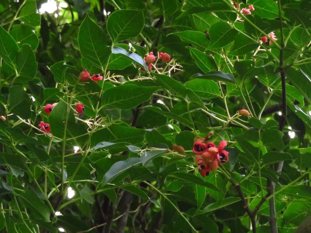 a0018655_08564662.jpg