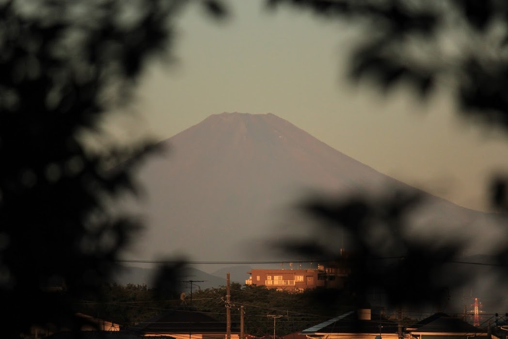 a0248459_13491100.jpg