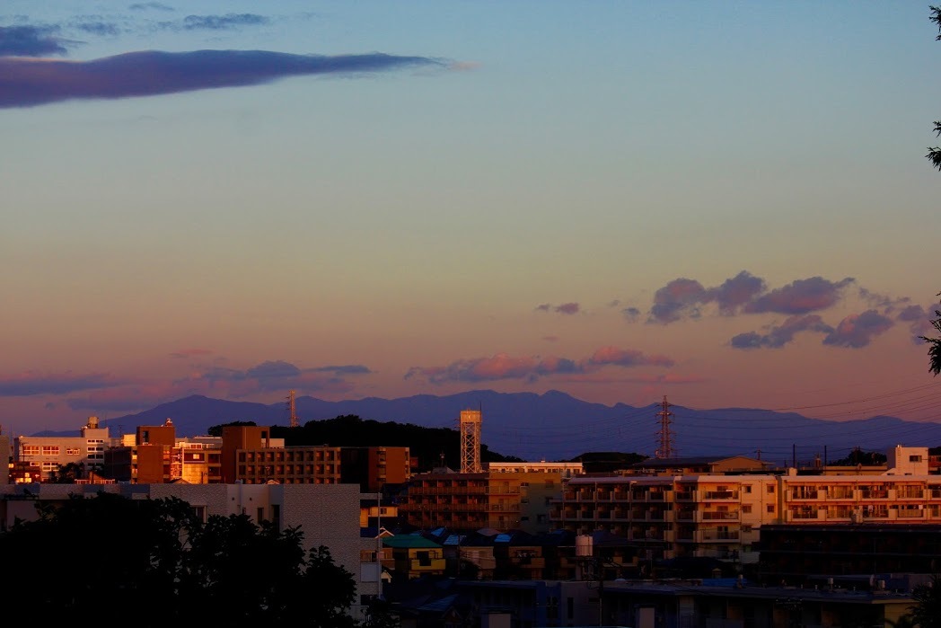 a0248459_13491957.jpg