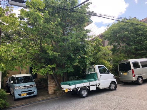 庭木の剪定は大事！！_f0215262_16513079.jpg