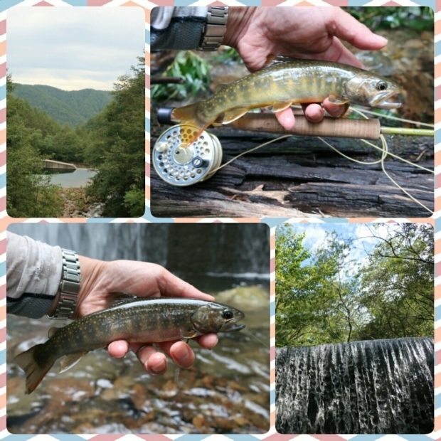 f0224363_21112656.jpg