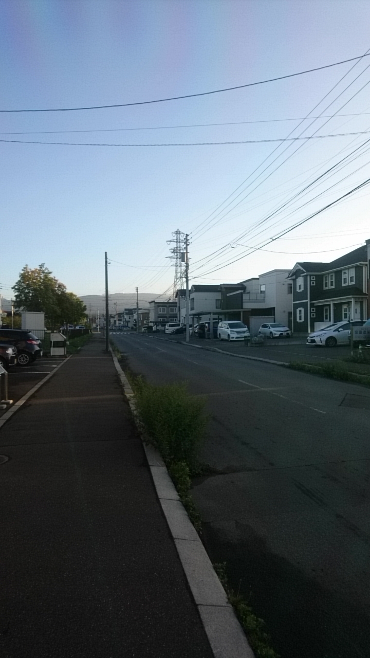 函館市桔梗町、信号が止まっています。自動車運転は危険_b0106766_05475250.jpg