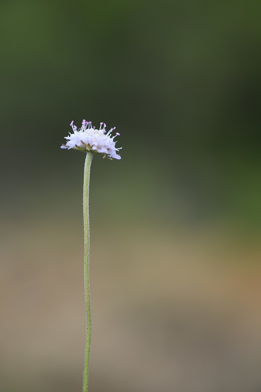 e0304170_18375623.jpg
