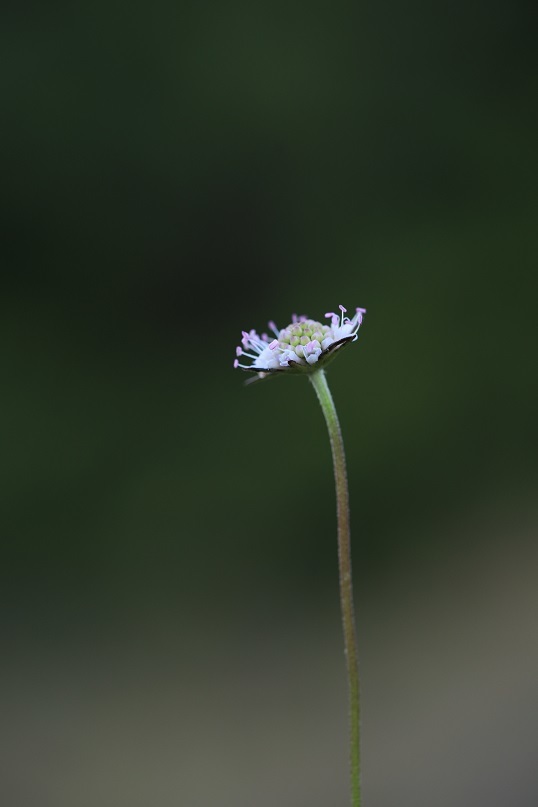 e0304170_18380597.jpg