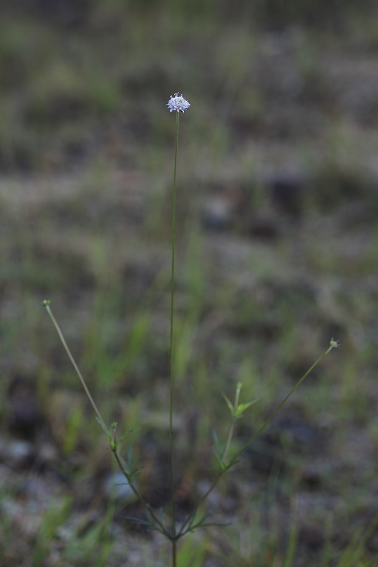 e0304170_18381277.jpg