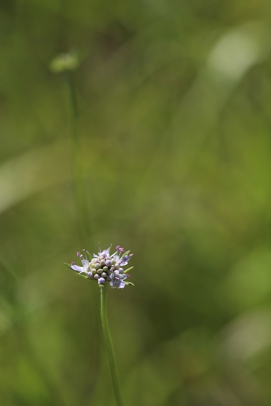 e0304170_18382950.jpg