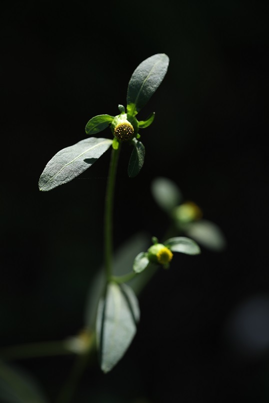 e0304170_18391494.jpg