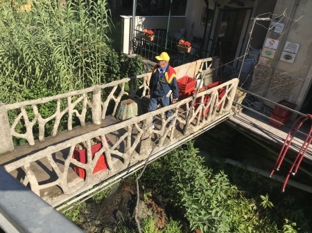 チンクエテッレ、ブドウ収穫開始!_a0136671_03044303.jpeg