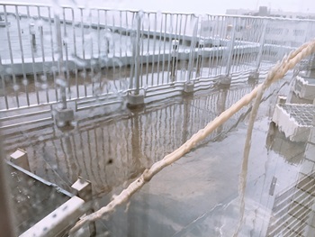 台風21号はすごかった><_e0237680_19431900.jpg