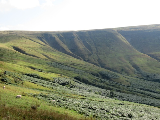a0208783_2328626.jpg
