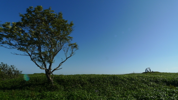 c0212083_17151111.jpg