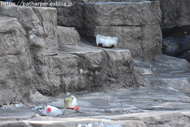 ２０１８年８月　天王寺動物園３　その１_a0052986_7342072.jpg