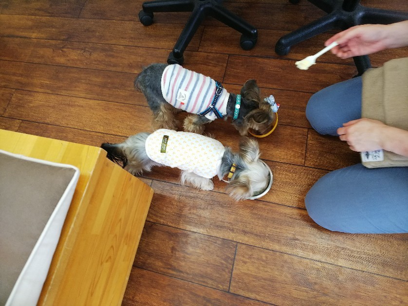 c0191390_18233266.jpg