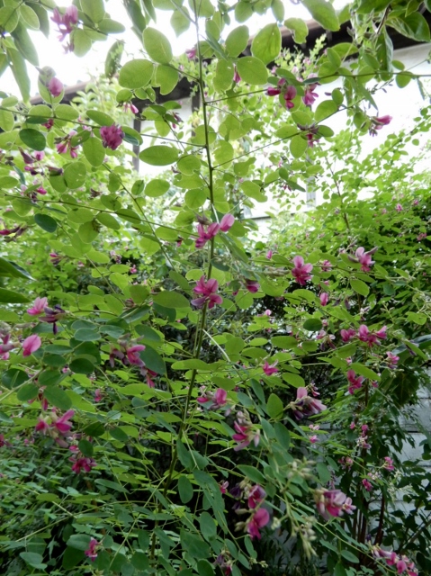 e0025300_20525951.jpg