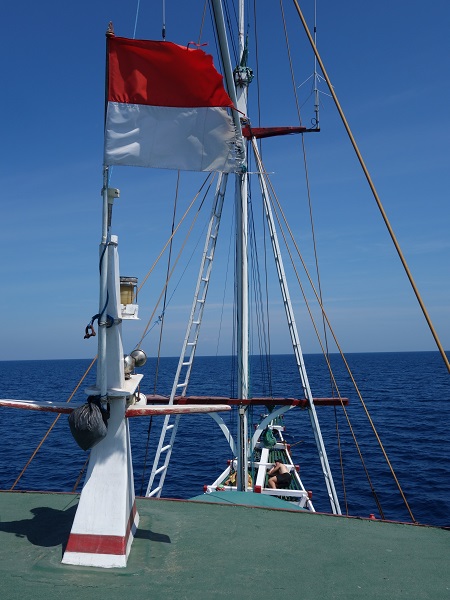 d0360509_19269100.jpg
