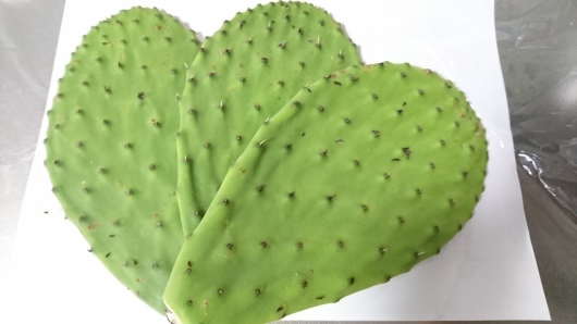 食用サボテン ノパル Edible Cactus Nopal Latina Diary Blog