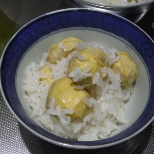 カカの「ゴロゴロ栗ご飯」始まりました～ァ_c0310322_18413264.jpg