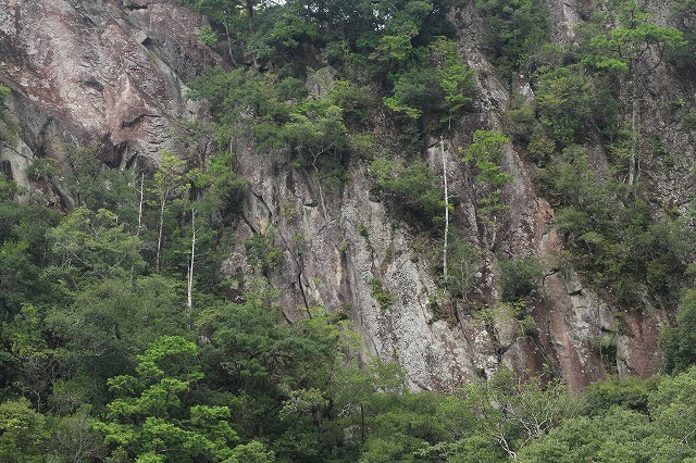 e0321325_11453731.jpg