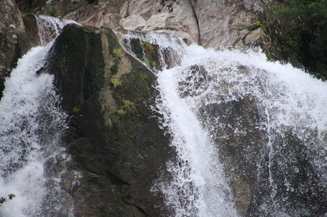 e0321325_11465557.jpg