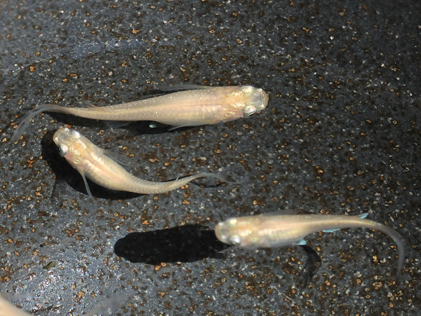 e0097534_16485221.jpg