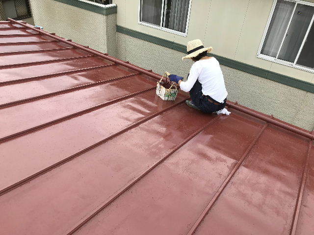 屋根塗装3日目 終了_f0031037_19161932.jpg