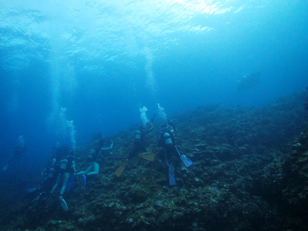 a0189838_05004763.jpg