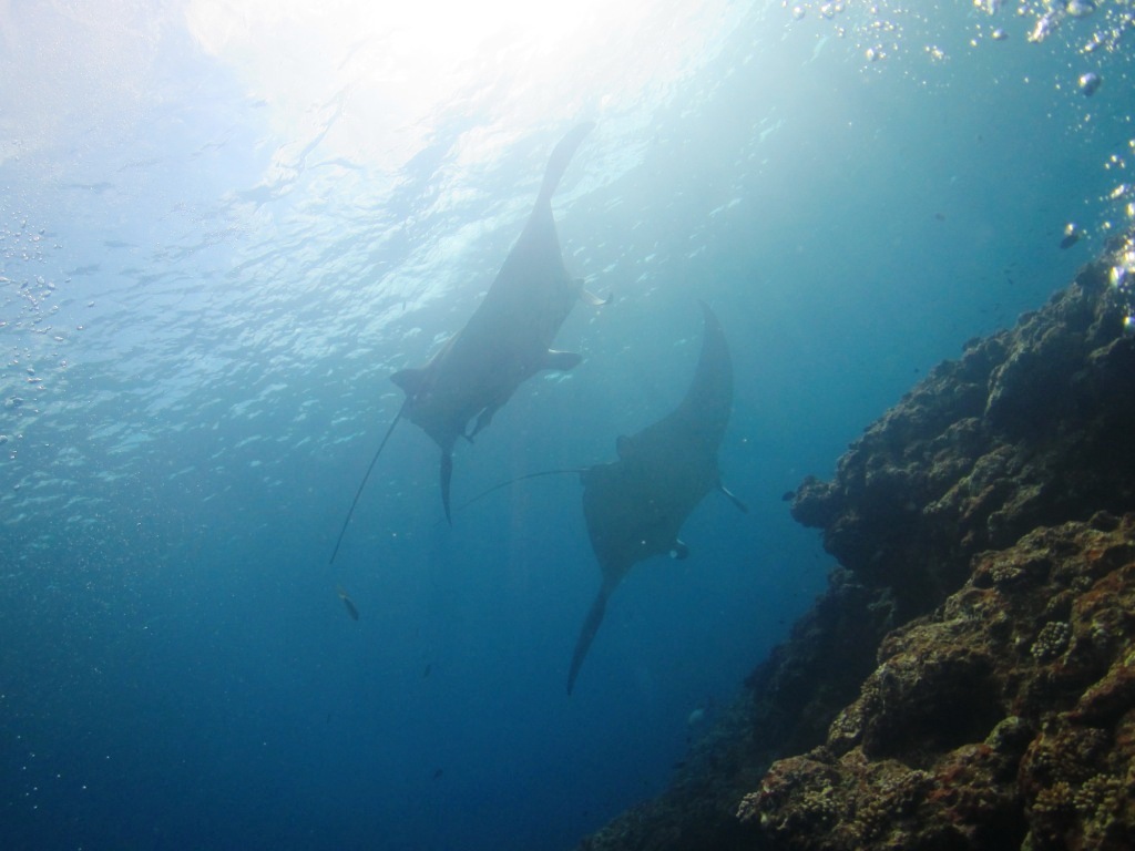 a0189838_05011239.jpg
