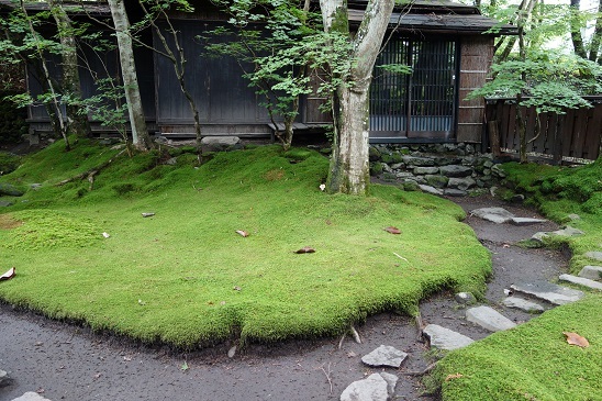 b0169238_22205512.jpg