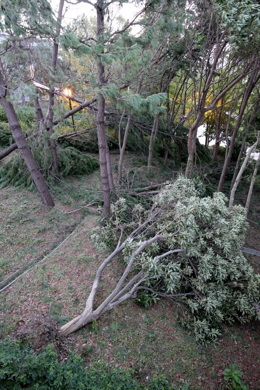 d0313140_00291704.jpg