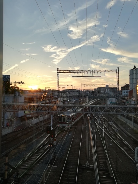 a0347547_21421423.jpg