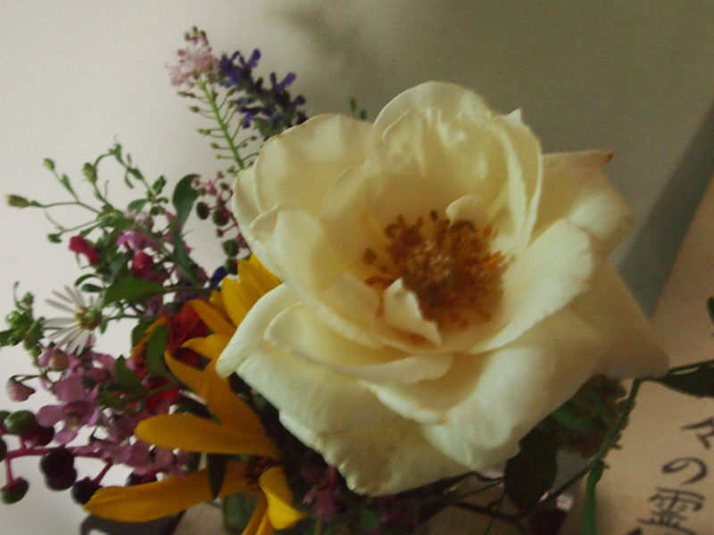 b0396150_10331255.jpg