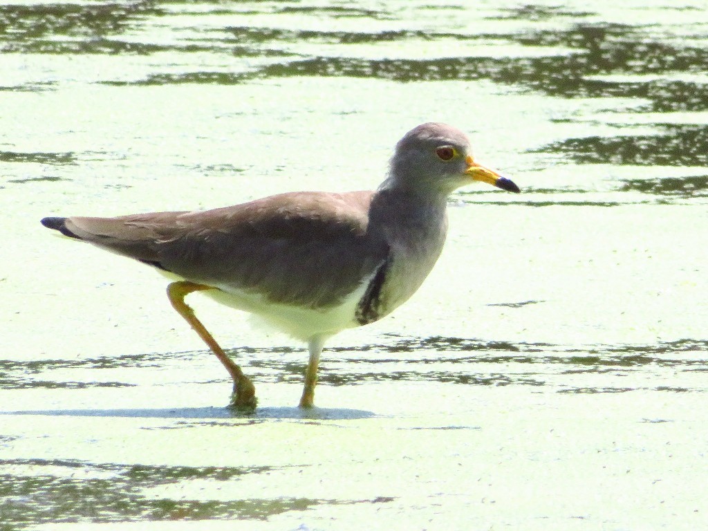 a0018655_08405533.jpg