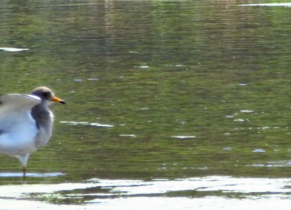 a0018655_08405792.jpg