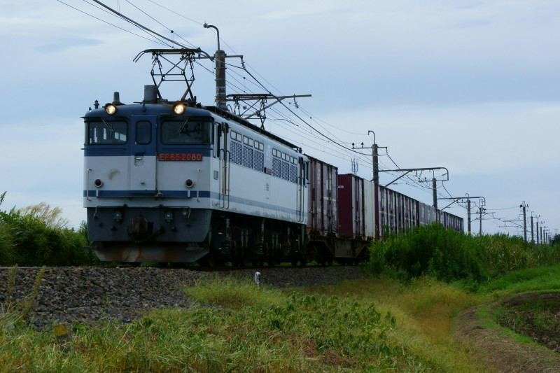 a0331055_19502598.jpg