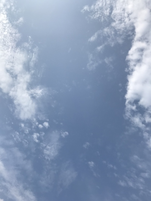 f0349957_10324133.jpeg