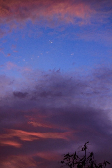 a0248459_14583779.jpg