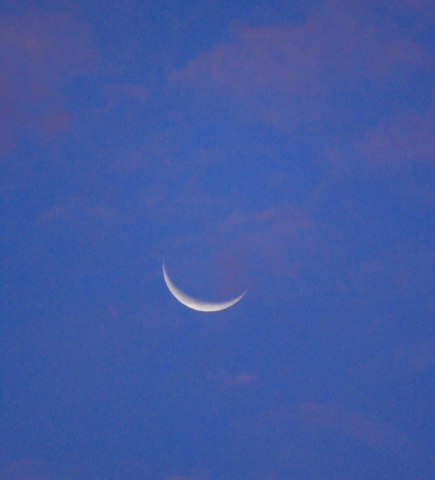 a0248459_14595487.jpg
