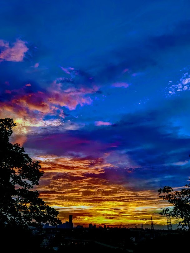a0248459_15033399.jpg