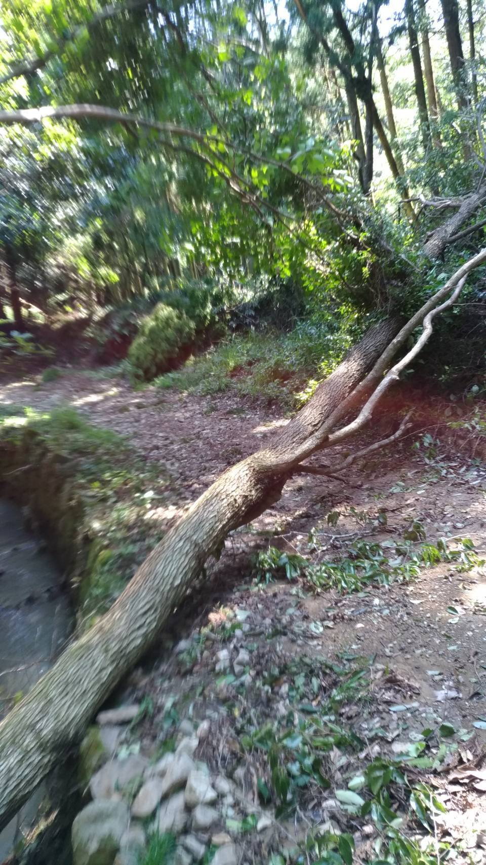 c0108460_14095083.jpg