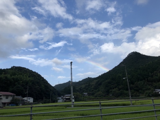 f0203164_12370066.jpeg