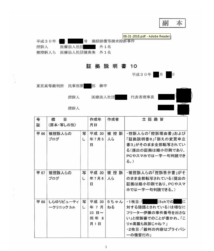 医療法人間　名誉棄損裁判　控訴審（東京高裁） Part Ⅲ_d0092965_01200470.jpg