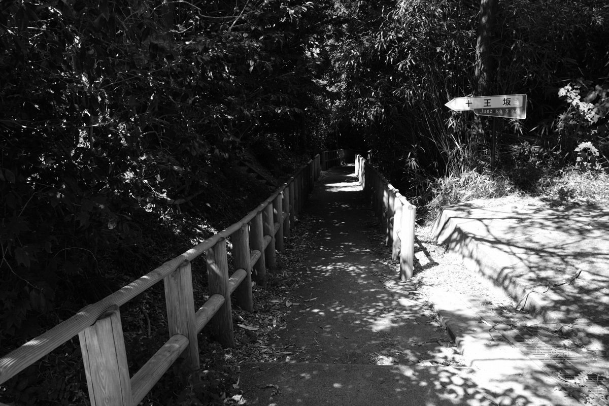 c0084666_11404859.jpg