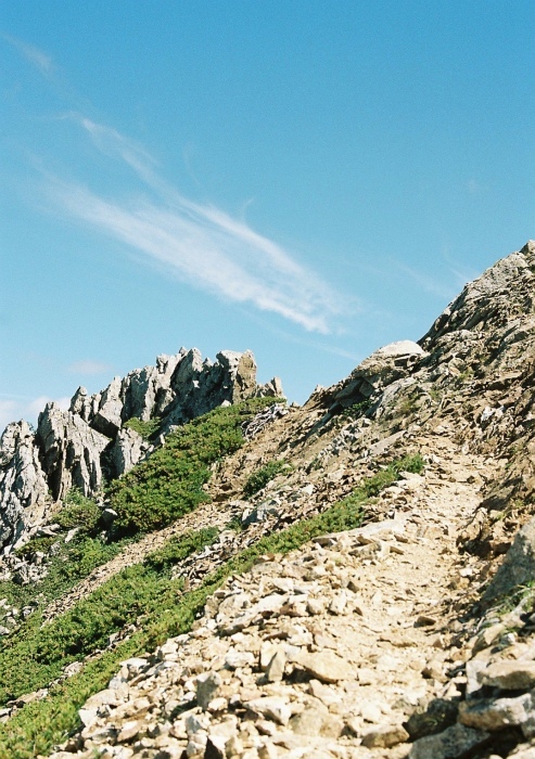 e0307372_23364645.jpg