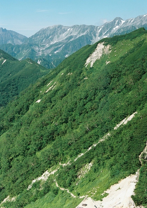 e0307372_23373939.jpg