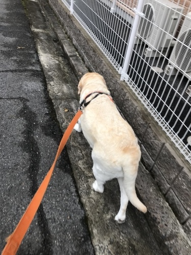 f0315081_23222751.jpeg