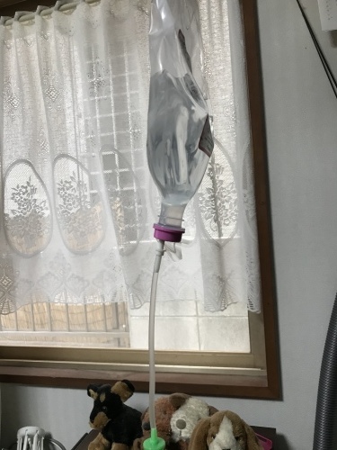 f0315081_23255434.jpeg