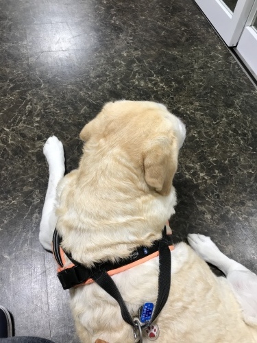 f0315081_23280526.jpeg