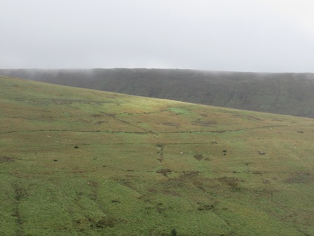 a0208783_2241086.jpg