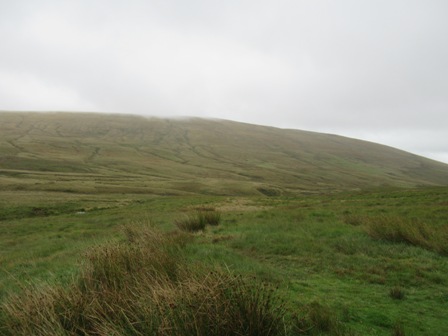 a0208783_228442.jpg