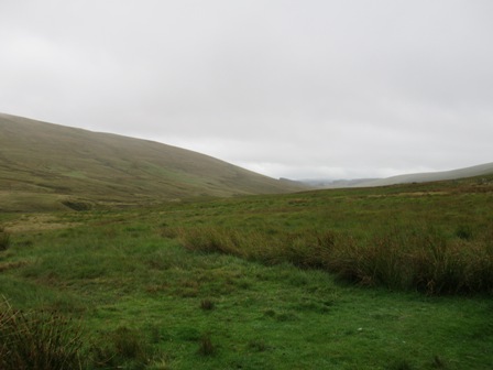 a0208783_345272.jpg